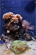 04162011_San Francisco_17